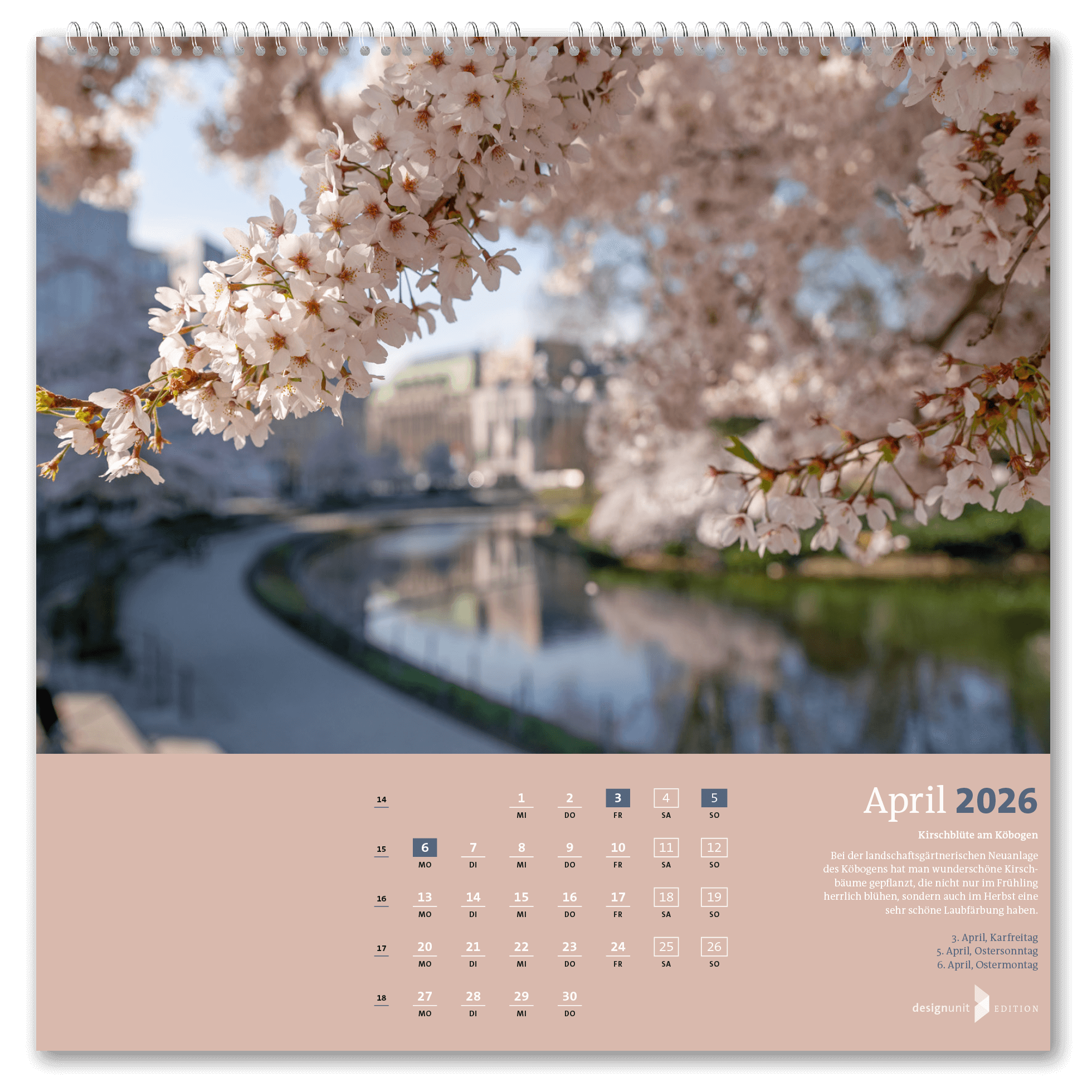 Düsseldorf 2026, Meine Stadt – Bild 5